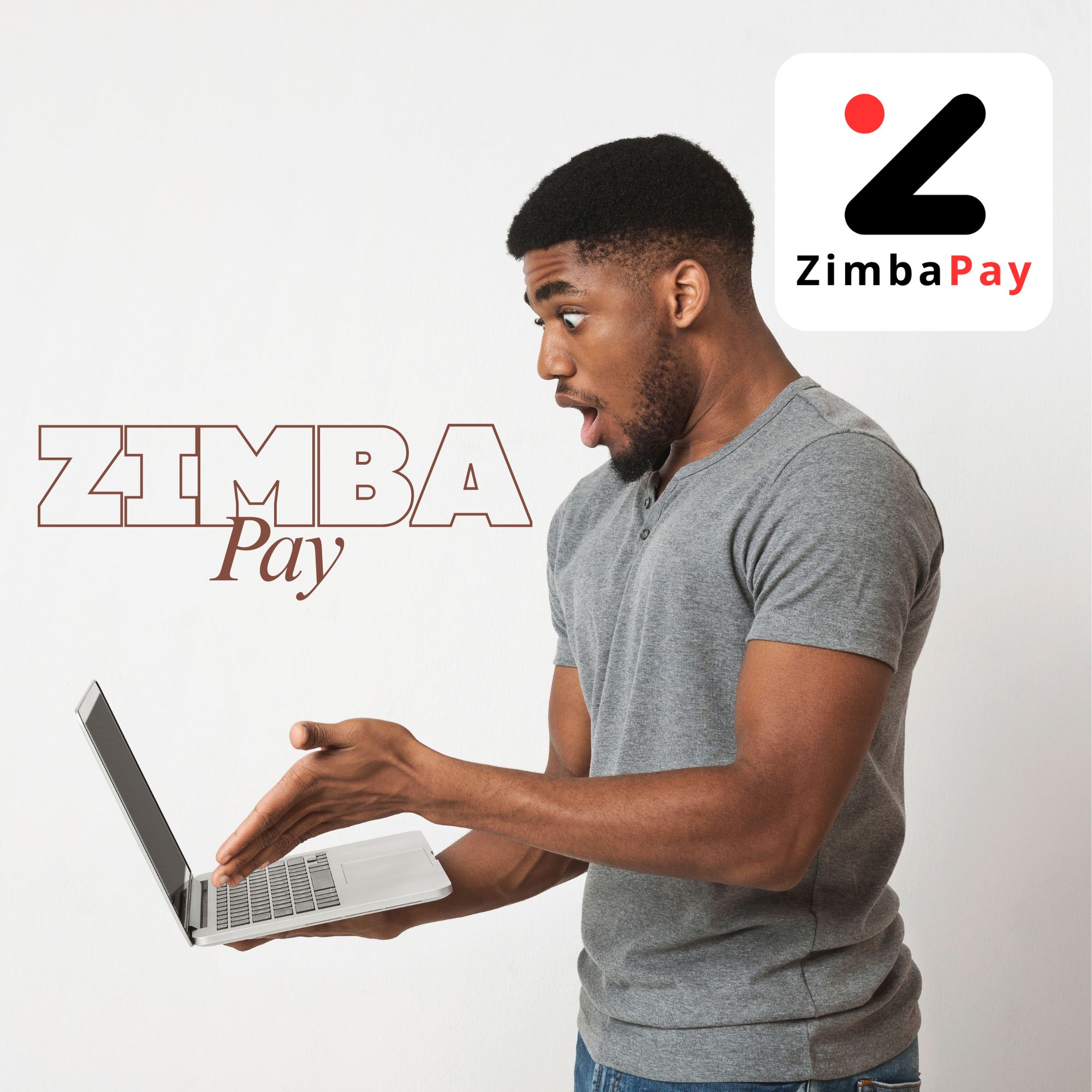 ZimbaPay commerce network illustration