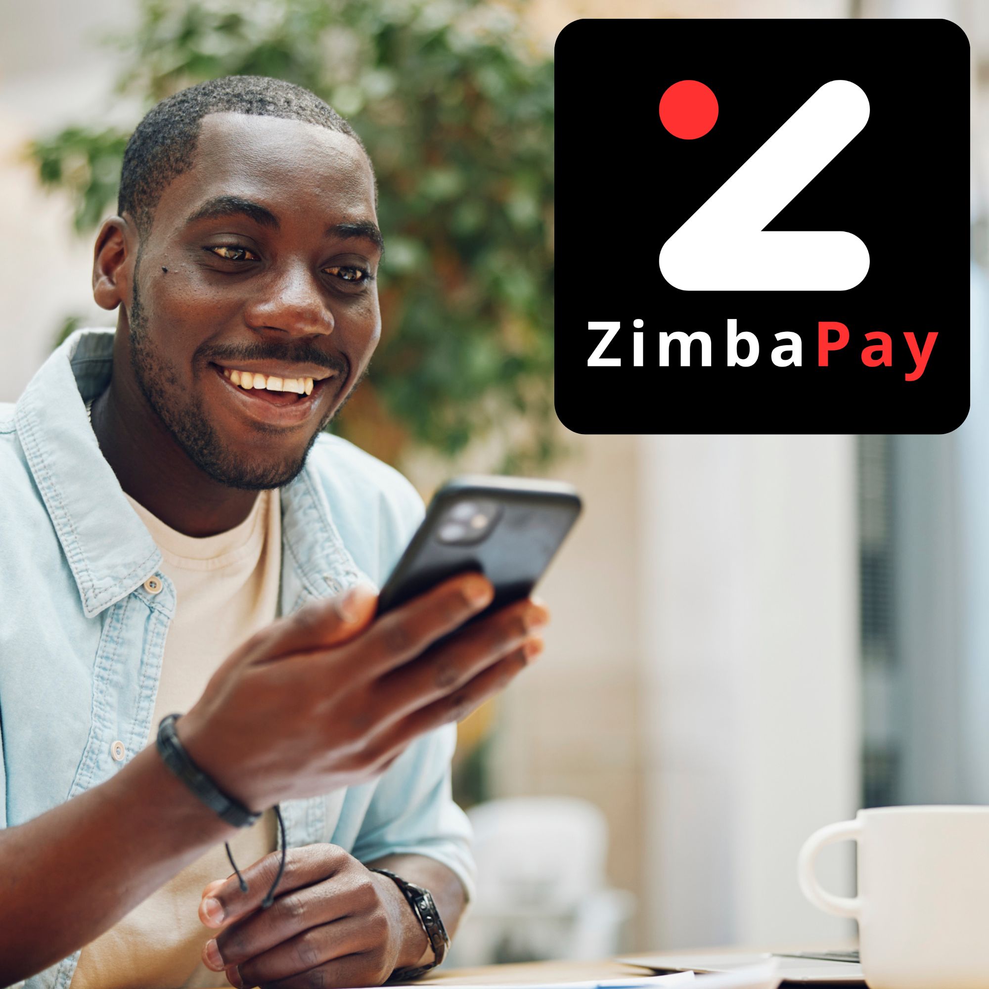 ZimbaPay onboarding illustration